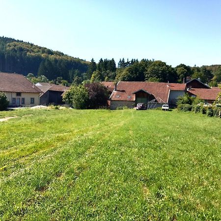 Gite Le Geleinfete II Vosges A Proximite De Gerardmer Herpelmont Buitenkant foto