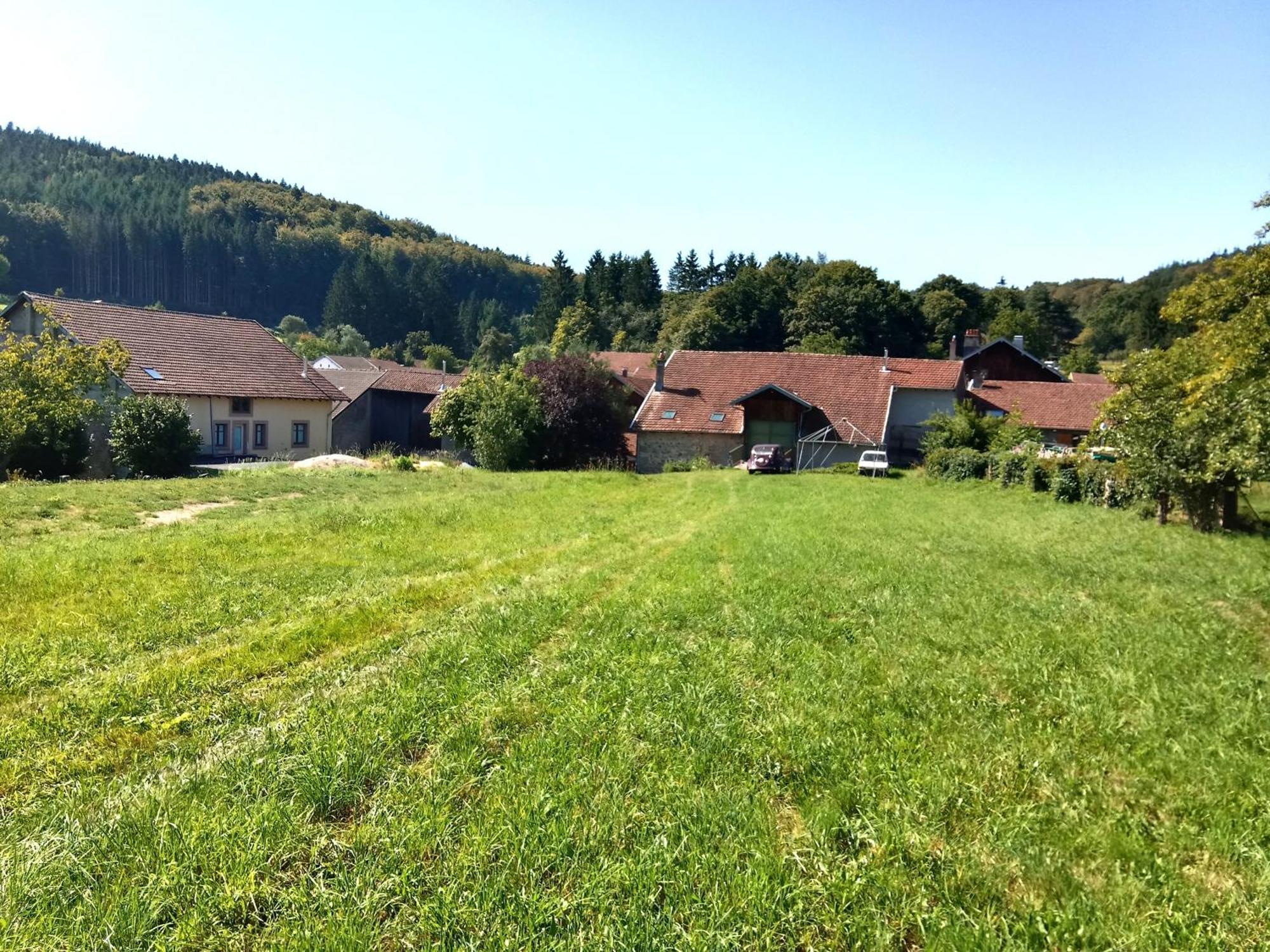 Gite Le Geleinfete II Vosges A Proximite De Gerardmer Herpelmont Buitenkant foto